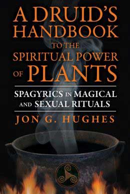 Druid's Handbook to the Spiritual Power of Plants by Jon Hughes